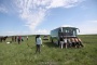 Hulunbeir Grassland